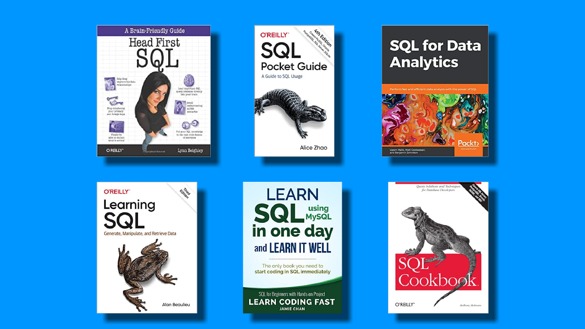 Top 20 Books To Learn SQL in 2022 - willvick